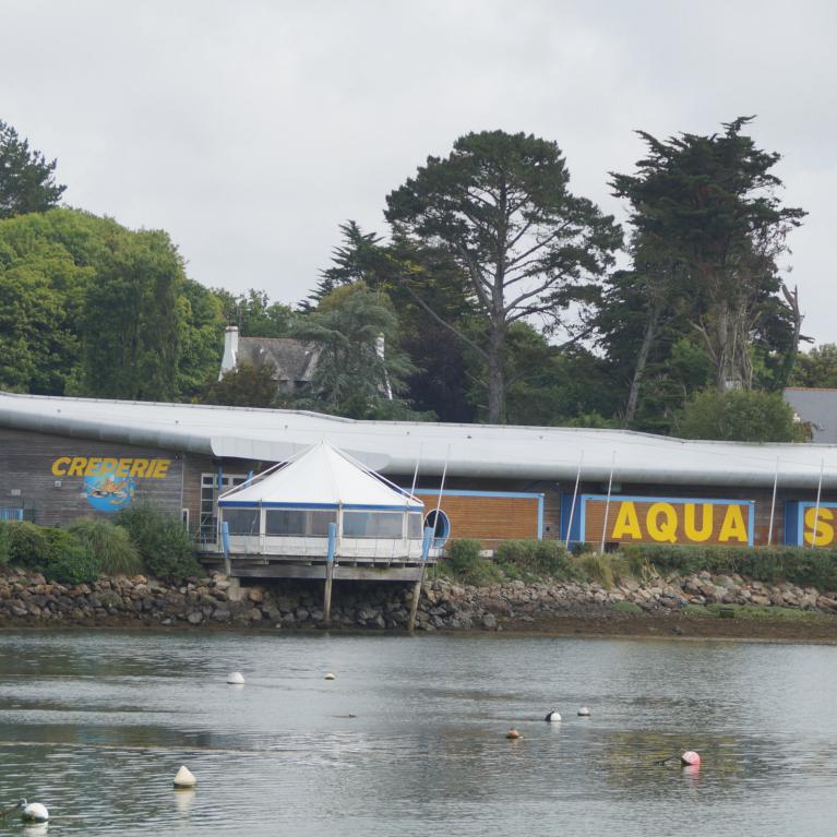 AquaShow