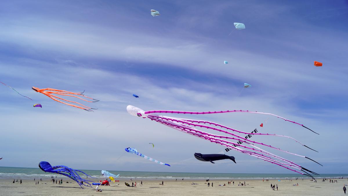 Cerfs volants