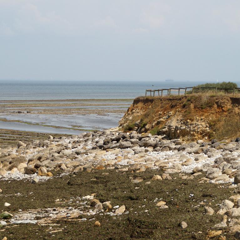Pointe de Chassiron