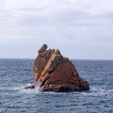 Pointe de Primel