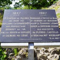 Plaque