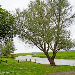 Bord de Douve