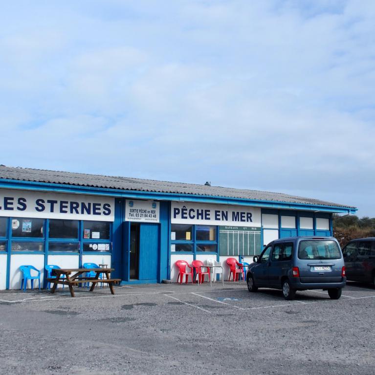 Les Sternes
