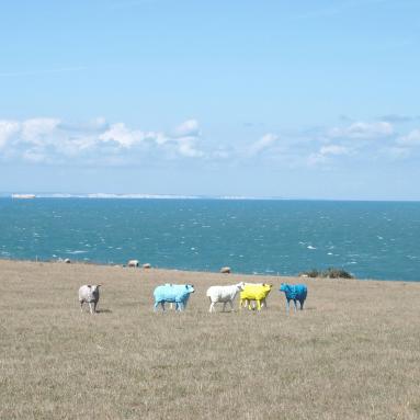 Cap Griz-Nez
