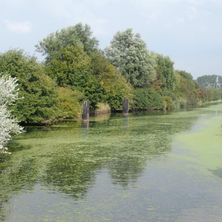 Canal de Furnes