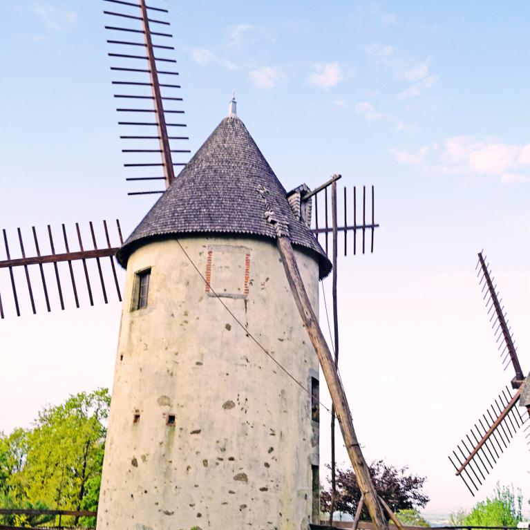 Moulins du Terrier Marteau