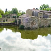 Cité des Oiseaux