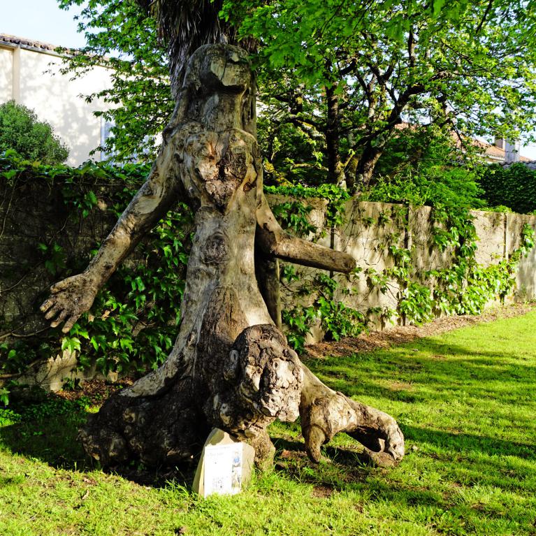 Arbre-Statue