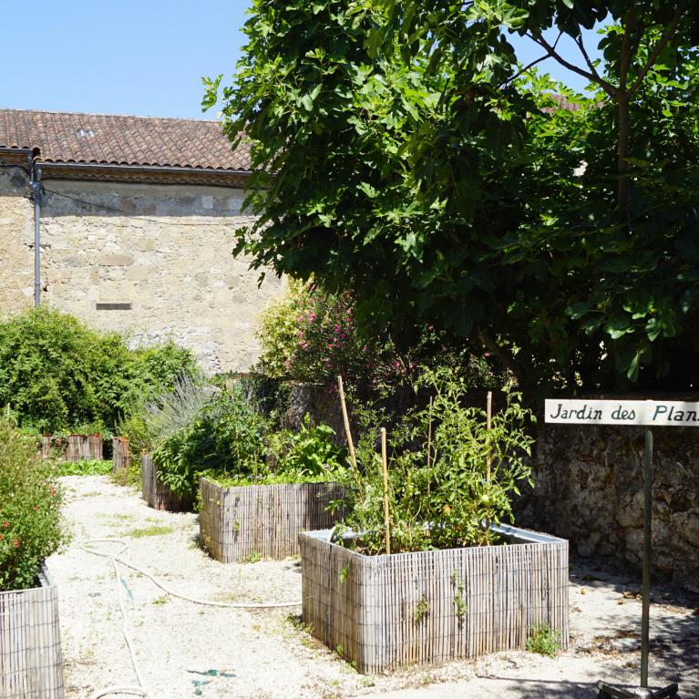 Jardin des plantes