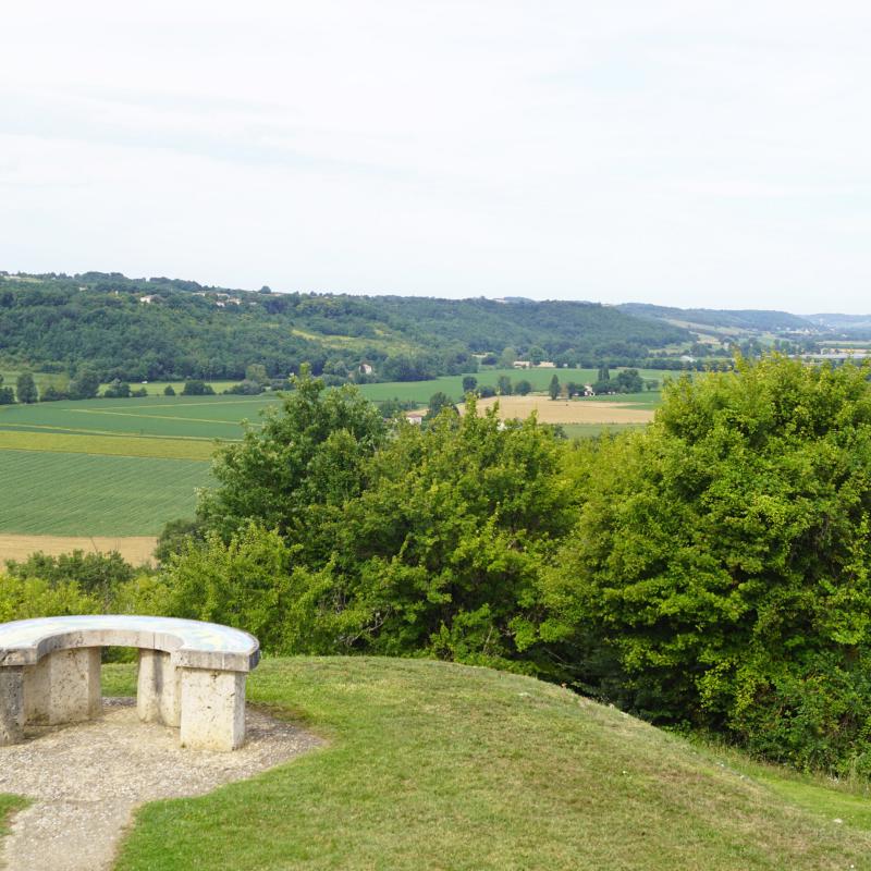 Panorama