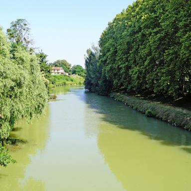 L'Arros