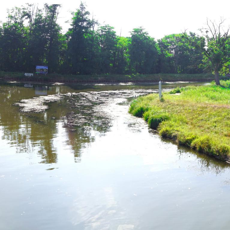 Bifurcation vers Roanne