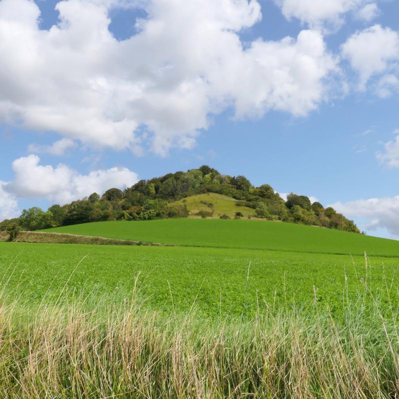 Colline de Saint Amador