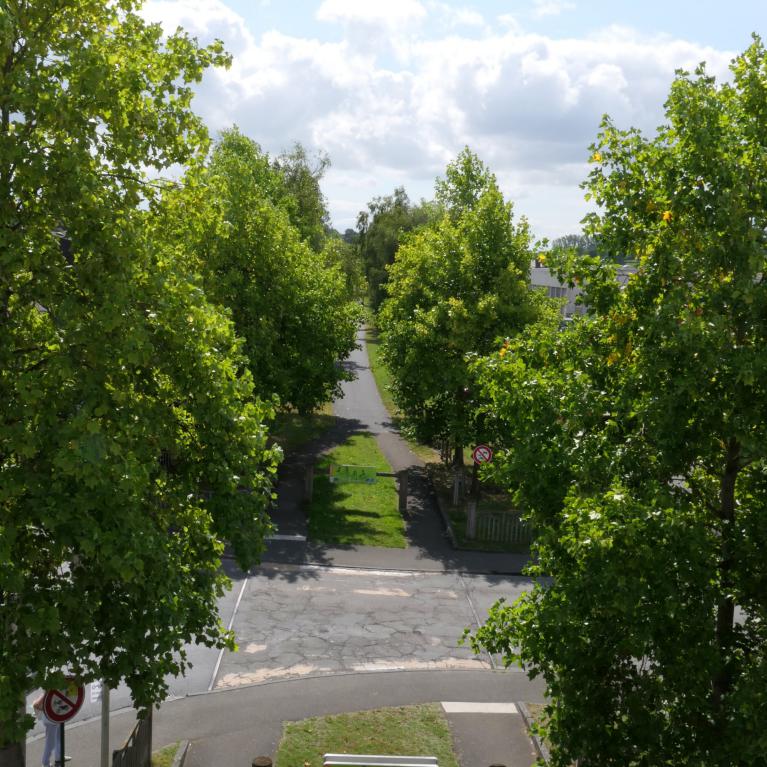 Avenue verte