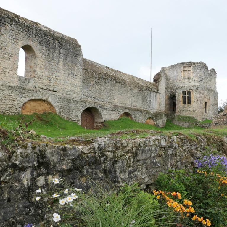 Ruines du château ducal